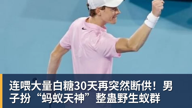 连喂大量白糖30天再突然断供！男子扮“蚂蚁天神”整蛊野生蚁群